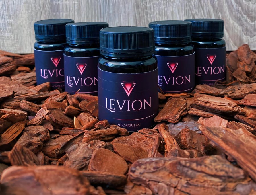 Levion